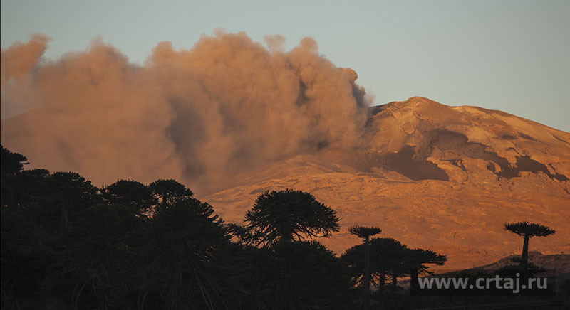 Copahue Volcano