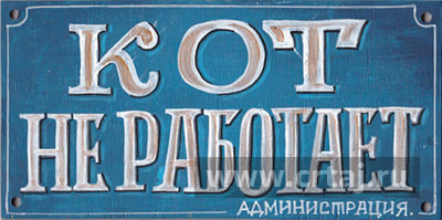 Кот не работает