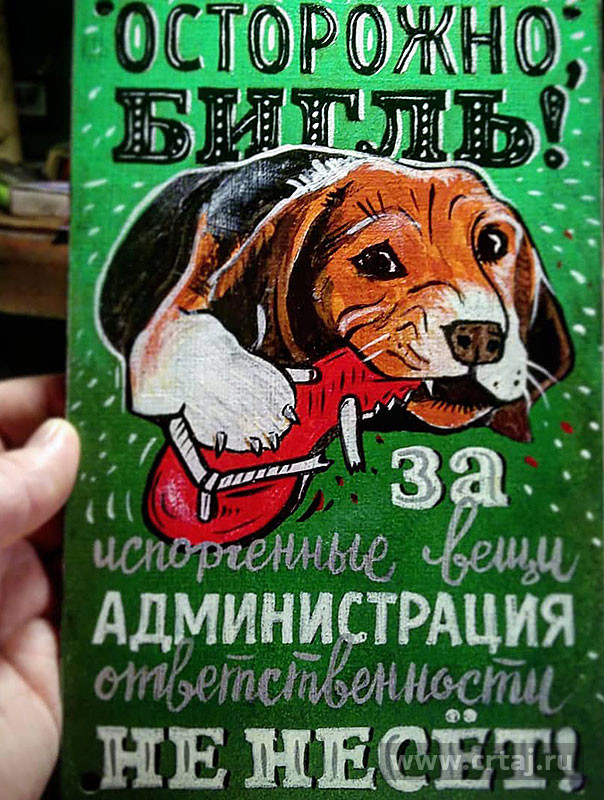 Табличка «Осторожно, Бигль!»